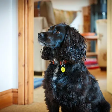 7 The Old Woodyard 別荘